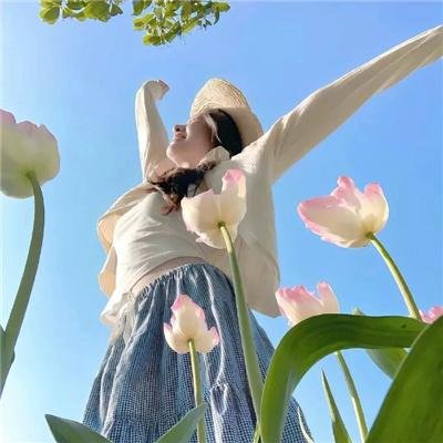 密探海芮：部落格大战