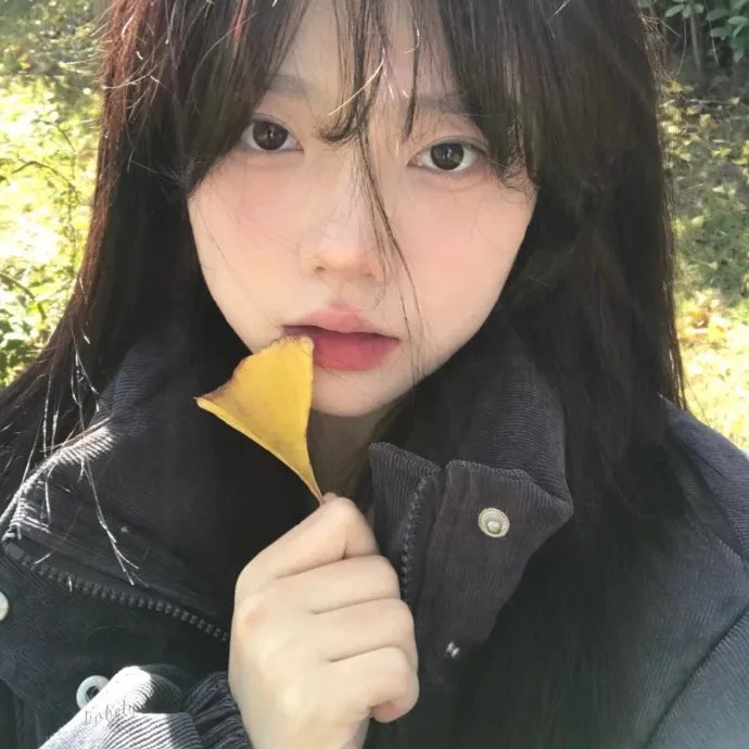 复仇者集结第四季